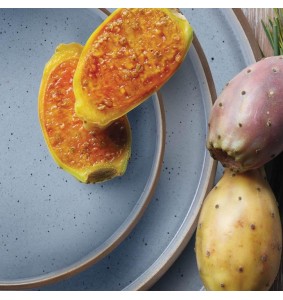 Fade servizio di piatti Biscuit Light Blue