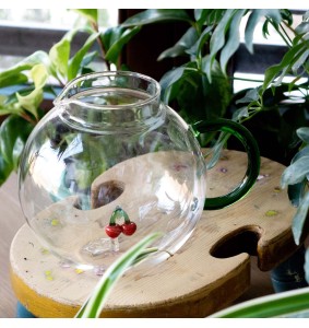 WD Lifestyle brocca in vetro Ciliegia